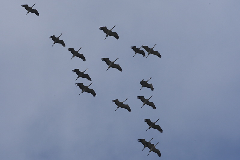 Spettacolo a cielo aperto